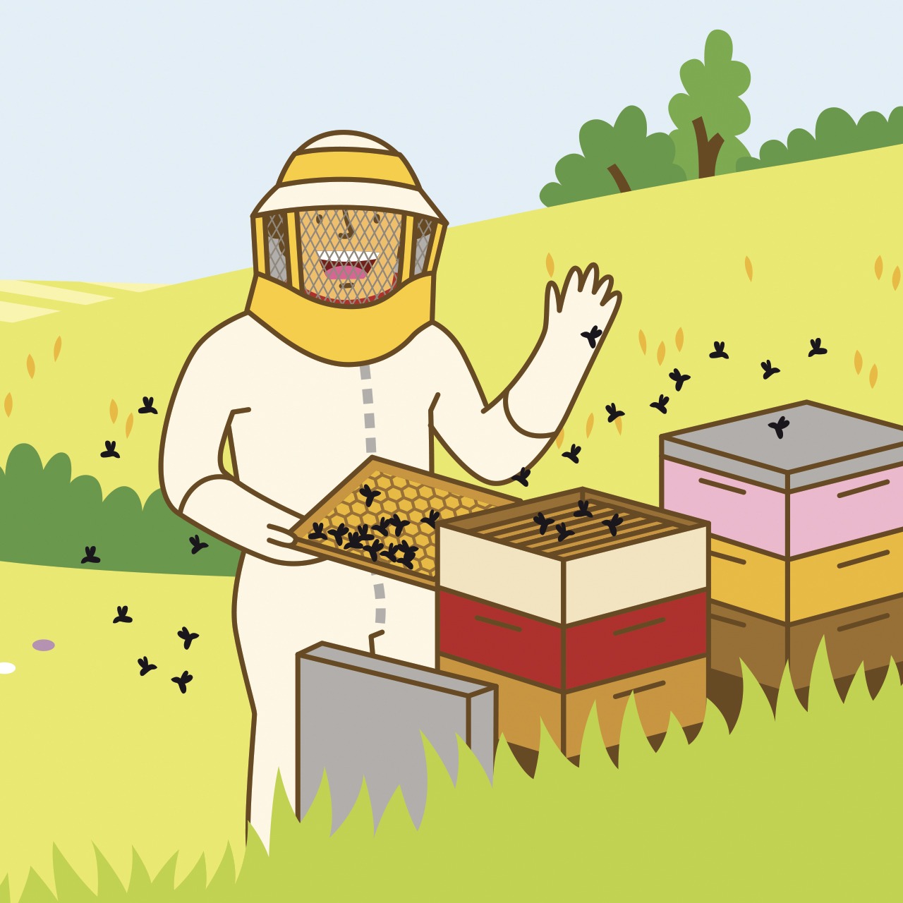 Milan Presse Bayam, Documentaires interactifs pour les enfants, abeille zoom