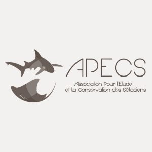 logo-APECS