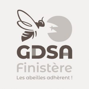 logo-GDSA